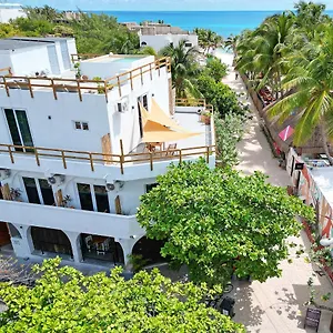 ** Guest house Casa Alkimia Town Mexico