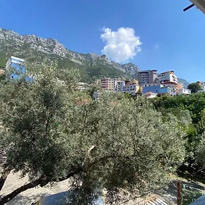 Apartamento Meca, Krujë
